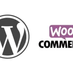 how does woocommerce work with wordpress