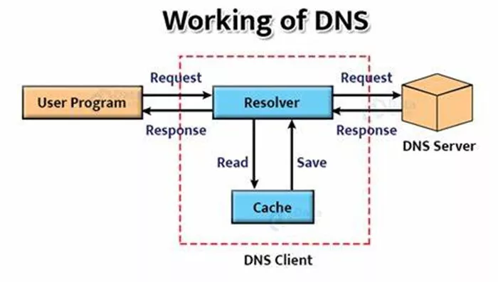 what is the main problem with domain name system (dns)