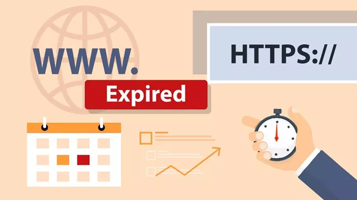 when does a website domain expire