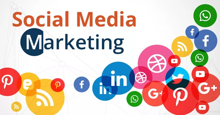 where to study social media marketing